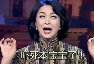歇斯底里！女子中英文全开 怒骂上海网约车司机