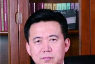 中纪委：公安部副部长孟宏伟涉嫌违法被查