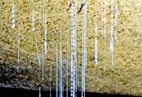 科学家在四川500米深天然洞穴发现梦幻世界！