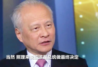 崔天凯大使接受华莱士采访 回应美国对中国指责