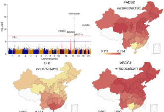 遗传差异首次被揭示！中国南北方有这6大不同