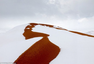 撒哈拉沙漠下雪了 系40年来最大一场 雪深一米