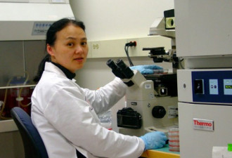 美华裔学者谢晓奇，挑战权威遭到实验室除名