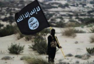 奥地利逮捕14名ISIS嫌犯 欧洲拟延长内部边控