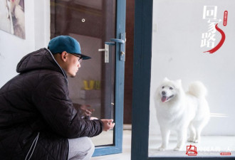 中国人的一天:宠物摄影师的双城爱恋