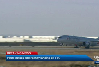 机翼出故障 达拉斯飞北京航班紧急降落卡尔加里