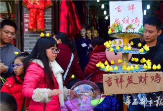 鸡年流行头戴&quot;小鸡&quot; 发夹老板: 一天轻松卖千元