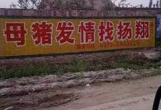 大陆热帖：过年回趟农村老家 被墙上标语给征服