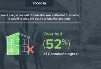 考虑在家中种大麻？那你的房子就不好卖了！