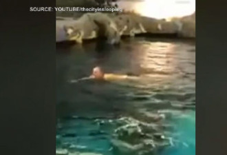 多伦多Ripley水族馆鲨池裸泳的男子在雷湾被拘