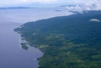 无法满足中国需求，所罗门群岛的雨林将枯竭