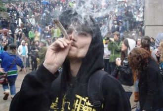 加拿大大麻合法 中国也有人鼓动毒品合法？