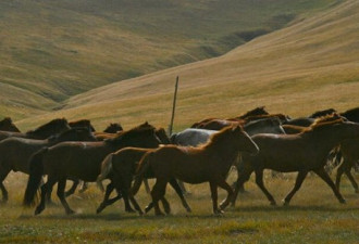 外媒:蒙古国民捐存款、黄金、马匹助国家还债