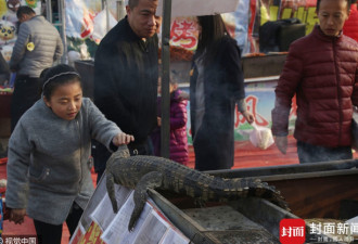春节庙会惊现烤鳄鱼肉，一天卖出一万多元