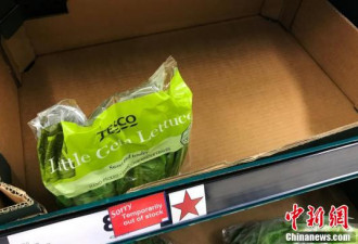 西班牙遭遇寒潮 英国“蔬菜危机”超市限购