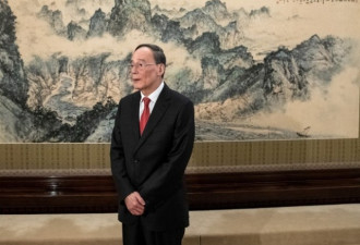 王岐山携马云参加峰会  带着重要任务