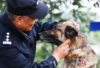 民警老白和他的“警犬养老院” 它们都是功臣