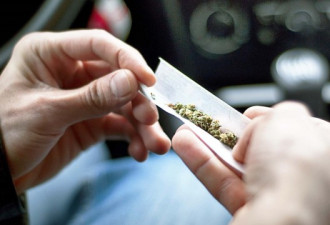 自求多福：大麻合法化之后 加拿大车祸案恐激增