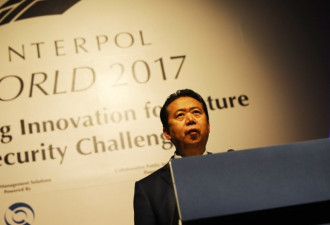 孟宏伟案波及甚远 传两大机构禁高管踏足中国