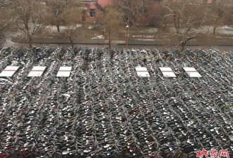 大学清理数千辆自行车 场面壮观似“钢铁坟墓”