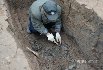 成都一楼盘工地发现60座战国船棺墓