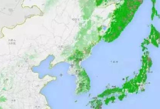 谷歌推出新服务，让中国人看到一张悲伤的地图