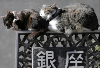 抗击过劳死！这家日本公司疯狂奖励员工睡饱觉
