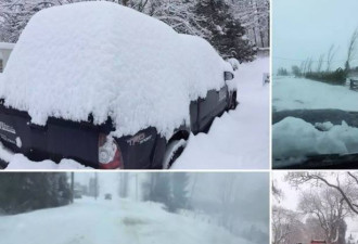 温哥华也属于加拿大！降雪量破记录