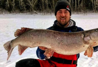 加拿大魁省一男子冰钓：结果钓上15 公斤大鱼