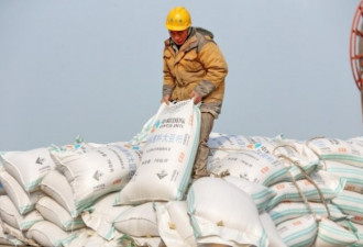因应贸易战 中国取消豆粕出口退税