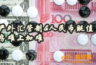 真正到海外买房的 有几个是靠每年5万美金额度