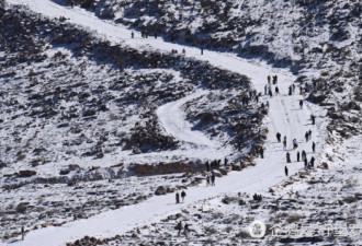 阿联酋罕见突降大雪 土豪们穿凉拖打雪仗