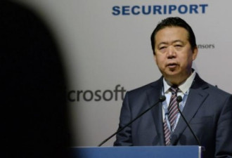 北京低调通知 孟宏伟在被开公职