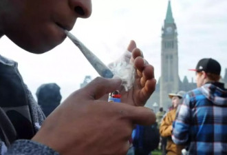 加拿大开始向全球游客推广＂大麻游 ＂
