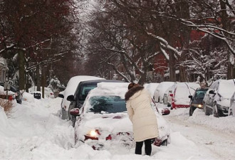 大雪过后，看蒙特利尔人如何从雪里“挖”车