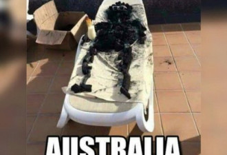澳大利亚热到了45度 政府却号召民众省电