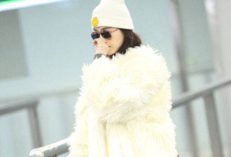 范冰冰穿5万元大衣去机场，网友的评论亮了