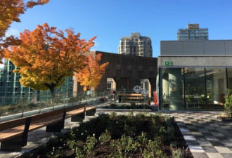 温哥华图书馆收到 $500万私人捐款 史上第一