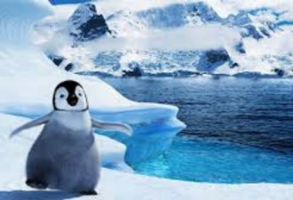 中俄联手否决南极全球最大海洋保育区