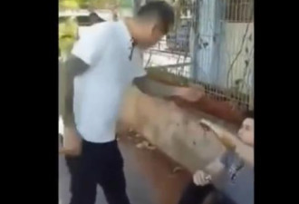 岳父当街暴打家暴女婿：我女儿是给你打的吗