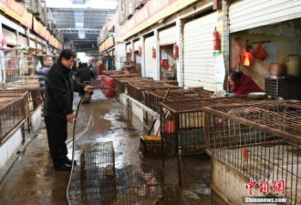 各类人群如何预防感染H7N9？ 北京疾控支招