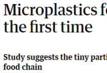 人类粪便中首次现塑料微粒 丢掉垃圾回到身体里