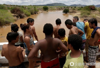 巴西北部大旱 富人喝瓶装水 动物成干尸