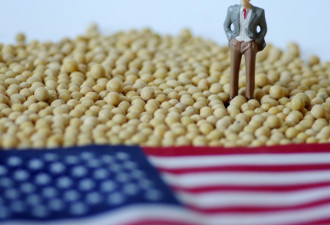 贸易战倒逼美国农户转型 美国农业格局面临重塑
