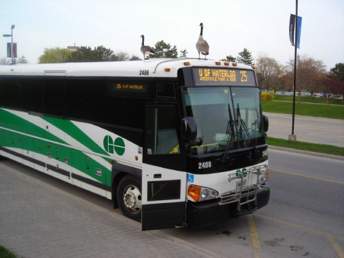 “Go bus 25F york university”的图片搜索结果