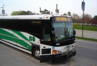 GO巴士不再直达约克大学 每天多付6块钱车费