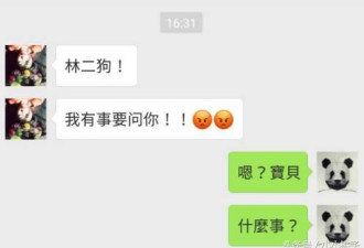 广东一姑娘与男友的聊天记录劲爆的不要不要的!