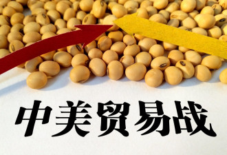 G20中国近期或宣布一项协议 抵消贸易战的影响