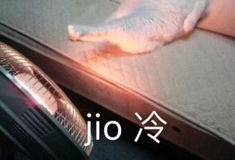 出门叫我姐姐！这一届妈妈也太难带