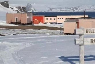 太奇葩 南极有史以来的第一桩谋杀案